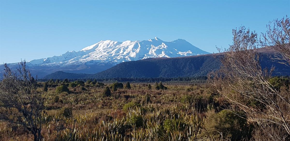 Mt Ruapehu