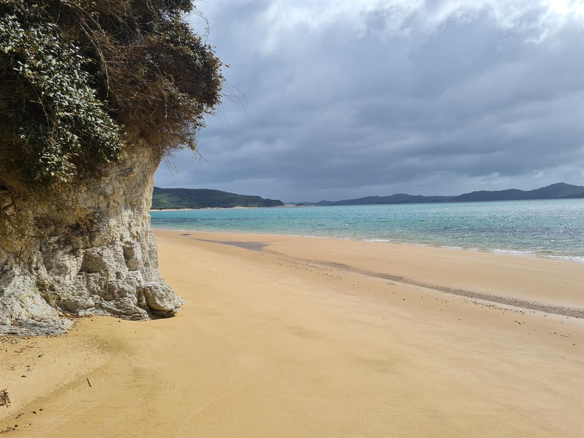 Hokianga Harbour