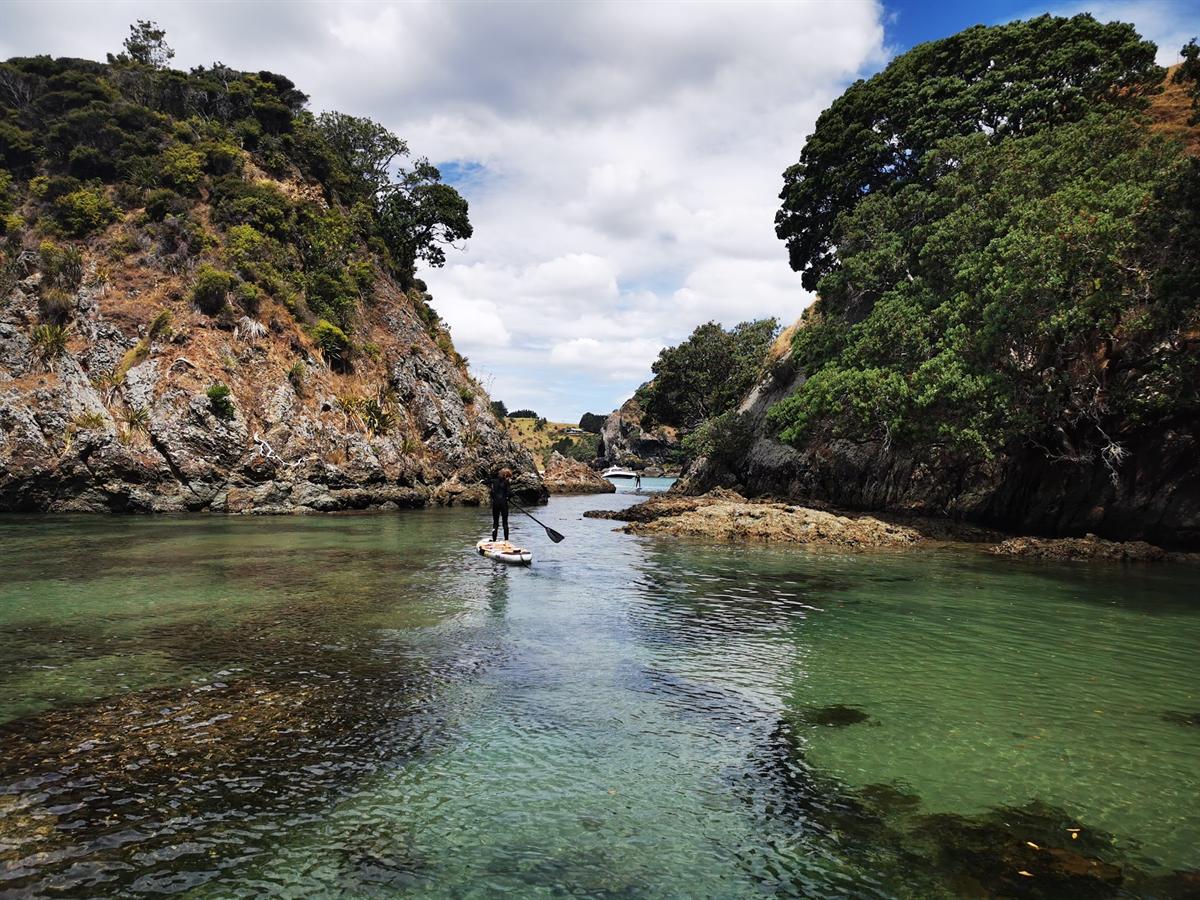 Great Barrier Island