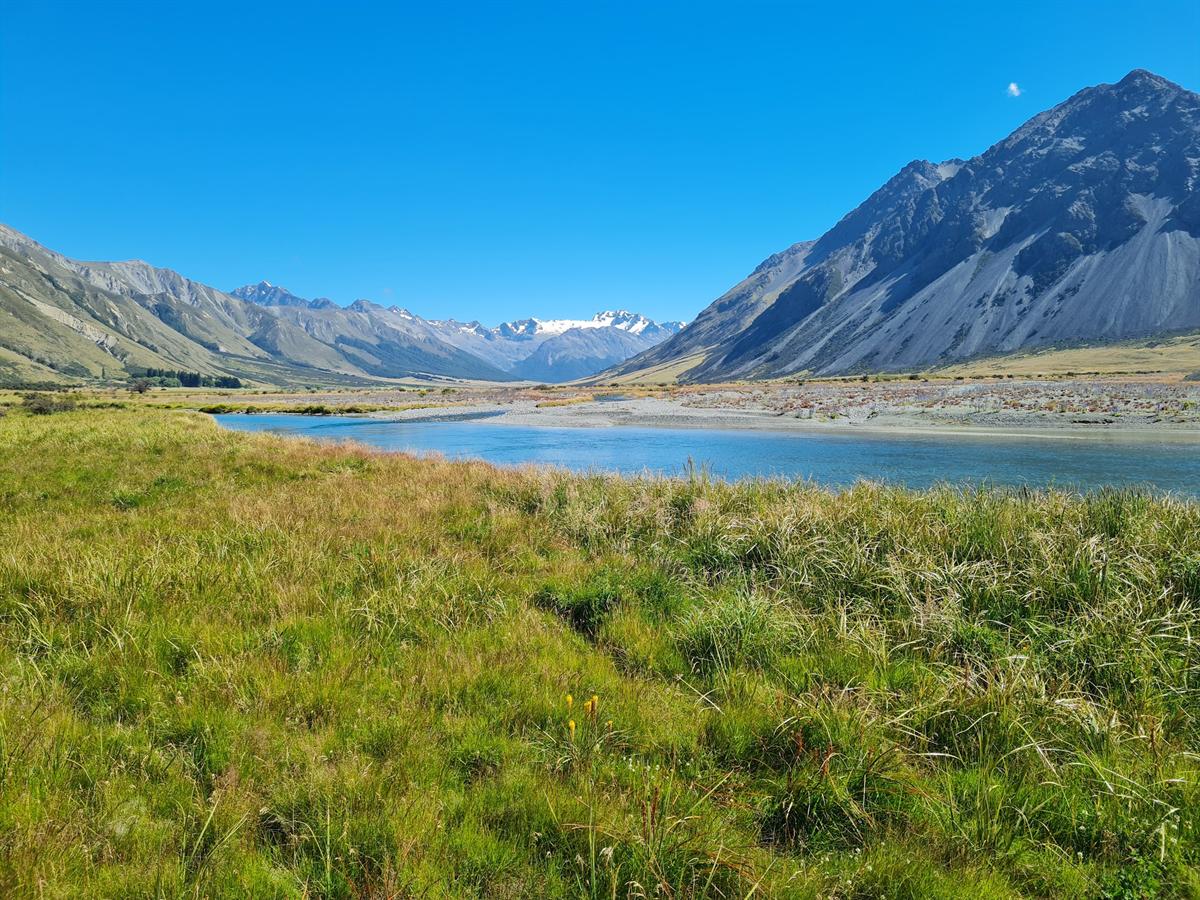 Ahuriri River