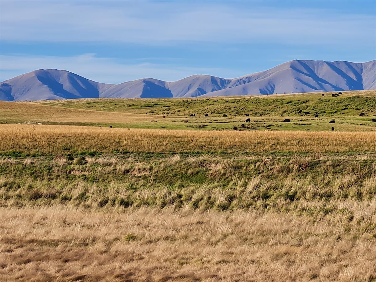 Central Otago