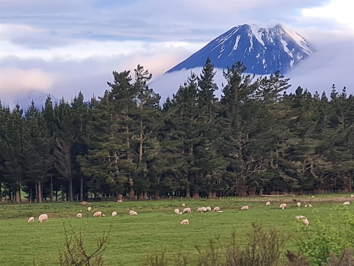 Mt Ngāuruhoe